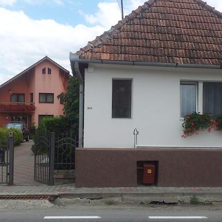 Casuta Andrey & Dan Villa Mihai Viteazu  Exterior photo