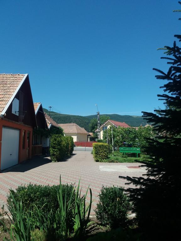 Casuta Andrey & Dan Villa Mihai Viteazu  Exterior photo